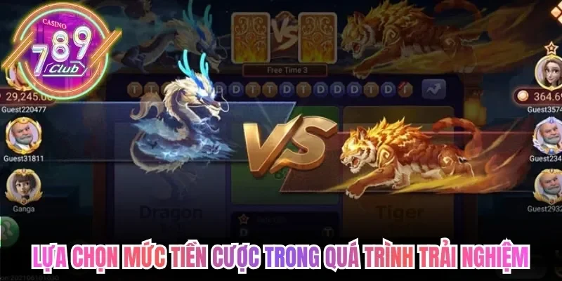 Lựa chọn các mức tiền cược trong quá trình trải nghiệm