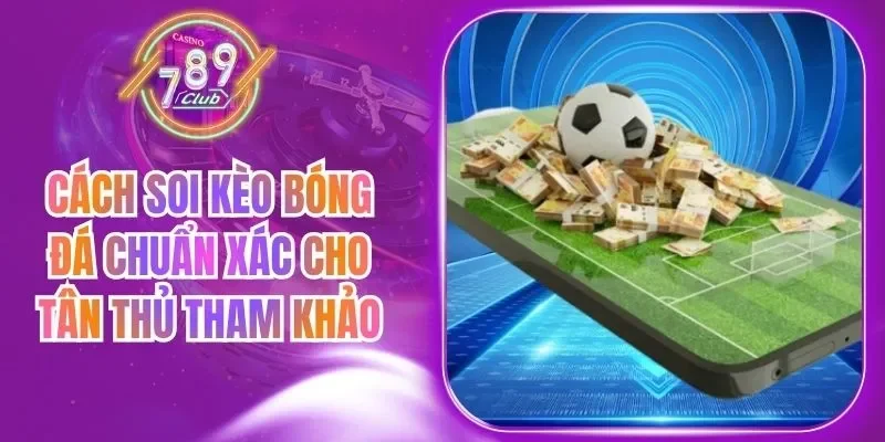 Cách Soi Kèo Bóng Đá Chuẩn Xác Cho Tân Thủ Tham Khảo